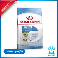 Royalcanin Mini Starter 3 Kg อาหารเม็ดสำหรับแม่สุนัขตั้งท้องและให้นมลูก และลูกสุนัขหย่านม