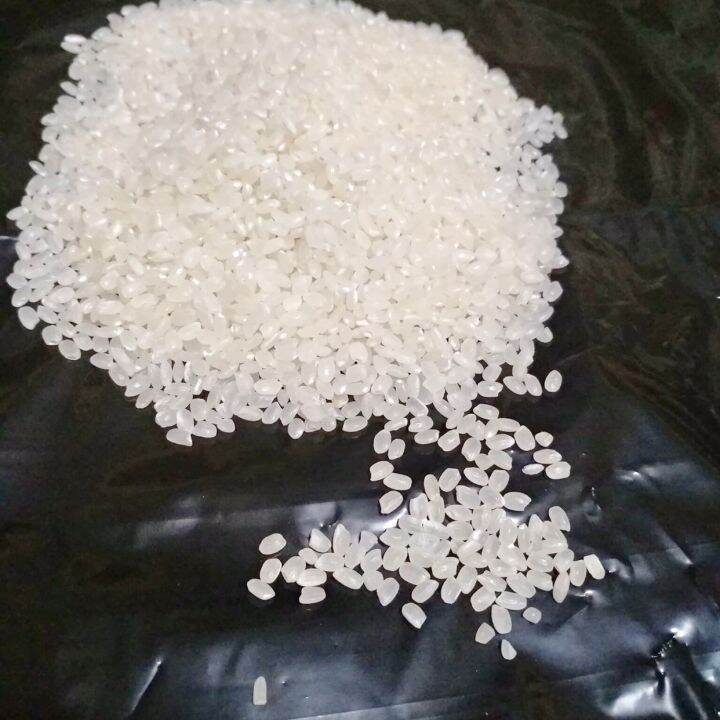 1KG King Crab Japonica Rice/ Bigas Lazada PH