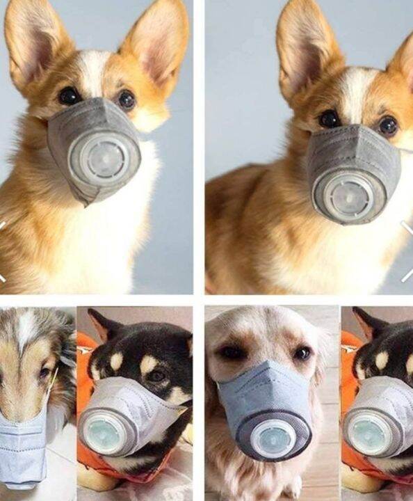 หน้ากากสุนัข-หน้ากากน้องหมา-yamomo-smoke-mask-for-dog-design-หน้ากากกันฝุ่นของสุนัข