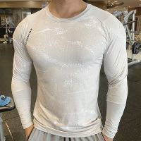 Quick Dry Gym Long Sleeve Shirt Men Fitness Training T shirt Running Sport Bodybuilding Skinny Tee Tops Running Workout Clothing