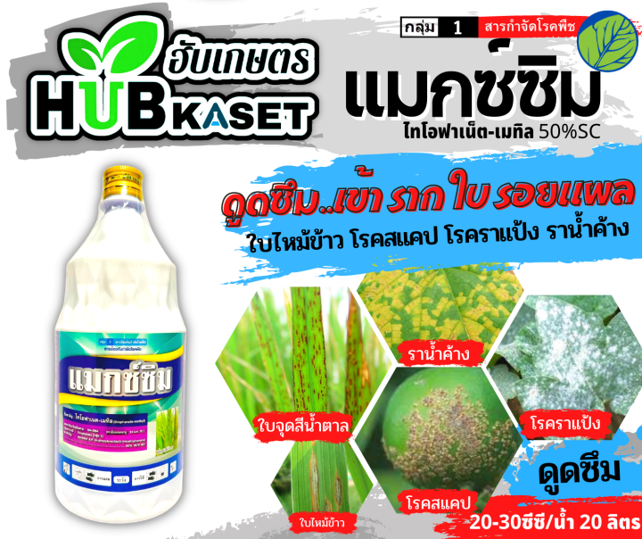 แมกซ์ซิม-1ลิตร-ไทโอฟาเนต-เมทิล50-sc-ป้องกันโรคไหม้ข้าว-และเชื้อราได้หลากหลาย