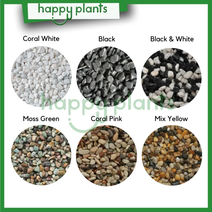 🌱 1kg Batu Hiasan Pebble Wash Chipping Gardening Aquarium Landscape