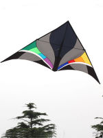 Professional 300 cm Ripstop Nylon Delta Kite And Power Kites With Flying Tools and Line Good Flying