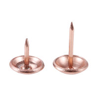 200Pcs Upholstery Round Head Tacks 11mm17mm Rose Gold Nails Metal Pushpin Vintage Tacks Antique Hardware