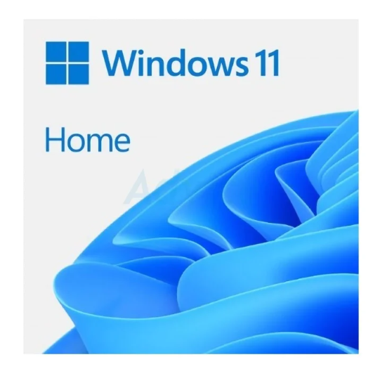 software-ms-windows-11-home-32bit-64bit-eng-usb-haj-00090-fpp