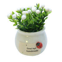 1 Pcs Mini Potted ดอกไม้ตกแต่งบ้าน Lucky บอนไซรูปผลไม้ Potted ดอกไม้