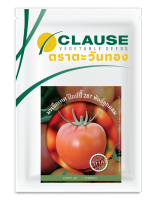 CLAUSE ตราตะวันทอง มะเขือเทศ สายพันธุ์ลูกผสม ป๊อปปี้287  (TOMATO Poppy 287 F1)