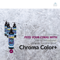 Chroma Color+ / Coral Food / อาหารปะการัง / UCI