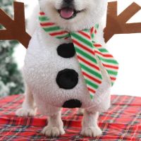 JAVIER Autumn Dog Clothes New Year Pet Supplies Pet Clothing Christmas Winter Puppy Supplies For Small Dogs Cats Hoodies Dog Costume