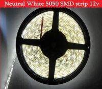 【⊕Good quality⊕】 na07037036036666 5050 Smd แถบไฟไฟแอลอีดีสีขาว5M 300leds เทปติดหลอดไฟ Dc12v ธรรมชาติที่ไม่ใช่ Ip65