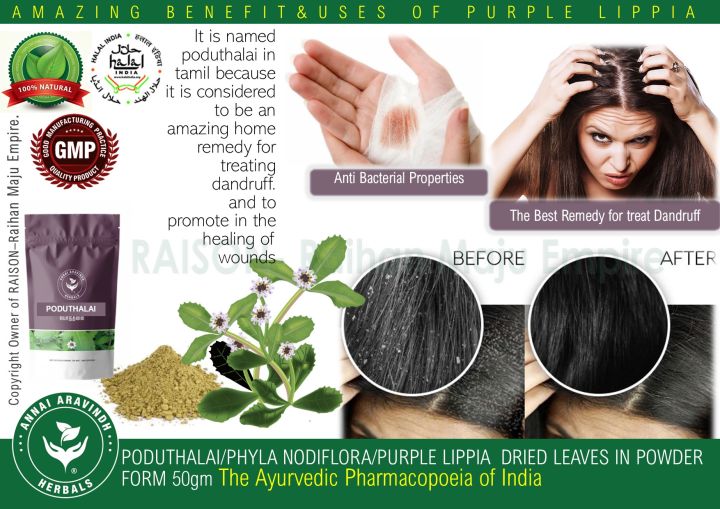 PODUTHALAI/PHYLA NODIFLORA/PURPLE LIPPIA DRIED LEAVES IN POWDER FORM 50gm  The Ayurvedic Pharmacopoeia of India- Natural Remedy for Dandruff | Lazada