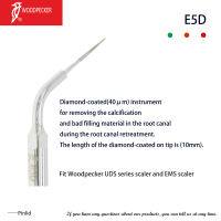 นกหัวขวานทันตกรรมอัลตราโซนิก Scaler เคล็ดลับ E5D Endodontics พอดี EMS Handpiece