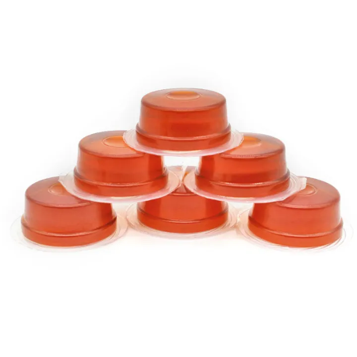 Beetle Jelly Japanese Rhinoceros Beetle Lucanidae Feed Protein Brown