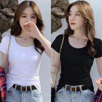 เสื้อยืดสีพื้นผู้หญิง เต็มตัว Freesize อก 28-36 นิ้ว มีให้เลือก 10 สี