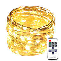 Flexible Silver Copper Wire Lights String for Indoor Outdoor Patio Party Wedding Decoration with Remote Control and Power Adapte