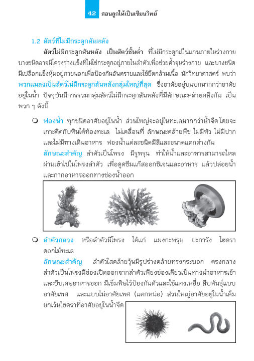 สอนลูกให้เป็นเซียน-ชุด-วิทยาศาสตร์-ป-4-ปรับปรุงหลักสูตร-2560-พิมพ์-2-สี-แถมฟรีเฉลย