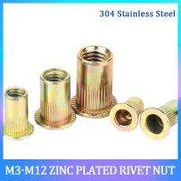 M3 M4 M5 M6 M8 M10 M12 Rivet Nut Flat Countersunk Head Rivet Pull Cap Nut Blind rivet nut Carbon Steel Zinc Plated Threaded Nut