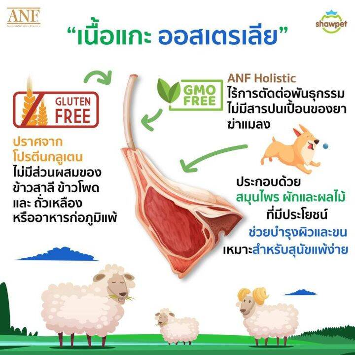 พร้อมส่ง-anf-อาหารสุนัข-สูตรเนื้อแกะ-สำหรับสุนัขโตทุกสายพันธุ์-ขนาด-15-kg