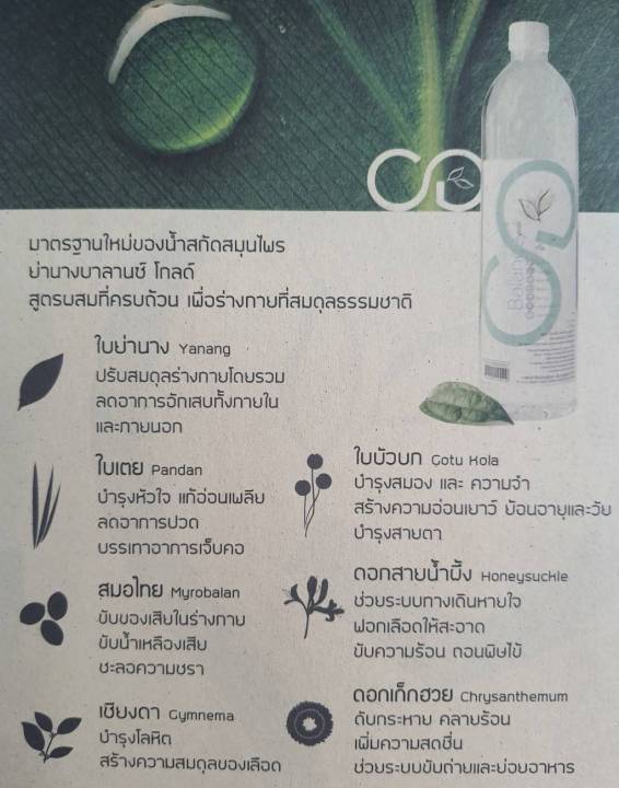 น้ำสกัดสมุนไพรย่านาง-cooling-green-สูตรบาลานซ์-โกลด์-เพื่อร่างกายที่สมดุลธรรมชาติ