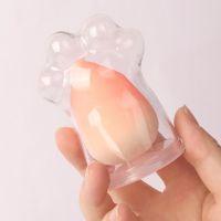 Makeup Puff Sponge Cosmetic Puff Gradient Color Foundation Concealer Puff With Cat Claw Dust Cover Beauty Makeup Brushes Tool