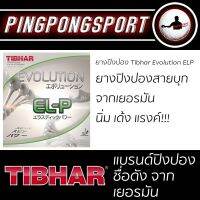 ยางปิงปอง TIBHAR EVOLUTION EL-P 1.9, 2.1