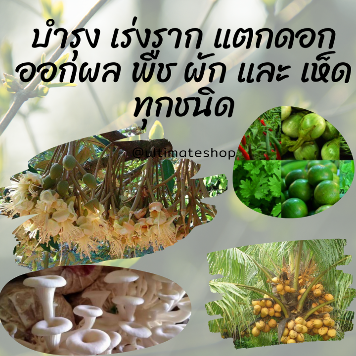 น้ำหมักมูลค้างคาว-ธาตุอาหารบำรุง-ราก-ดอก-ผลพืชทางด่วน