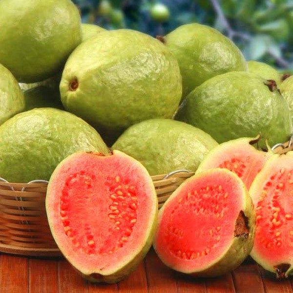 Linbeibei/ Taiwan Ruby Red Guava Seeds | Lazada PH