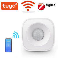 Zigbeewifi PIR Motion Sensor เครื่องตรวจจับอินฟราเรดไร้สาย Security burglar ALARM SENSOR smar Life APP Control Compatible