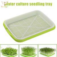 【Ready Stock】 ✑ D50 ✈ Plastic Seedling Tray Double-layer Bean Sprouts Grow Tray Hydroponic Flower Basket Home Garden Nursery Pots