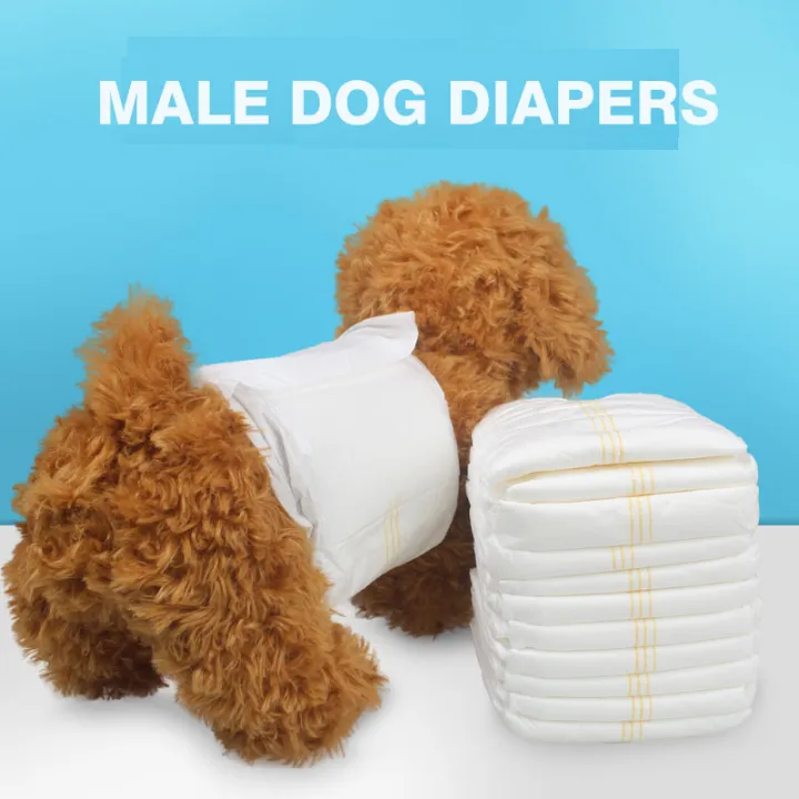 are there diapers for dogs