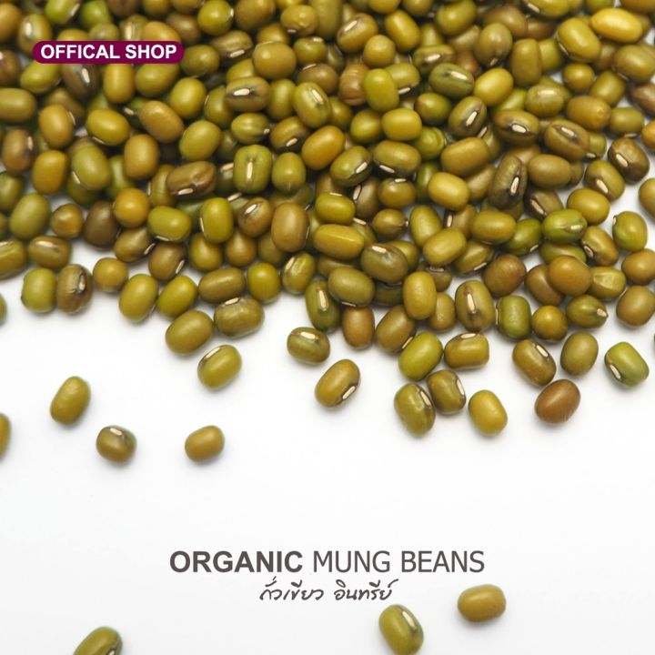 natural-amp-premium-n-amp-p-organic-ถั่วเขียวออร์แกนิค-organic-mung-beans-300g