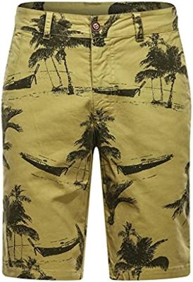 FEER Cargo Shorts Men Casual Cotton Printed Board Shorts Man New Summer Streetwear (Color : D, Size : 34code)