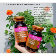 Viên collagen Spring Leaf Inner Beauty collagen 6-in