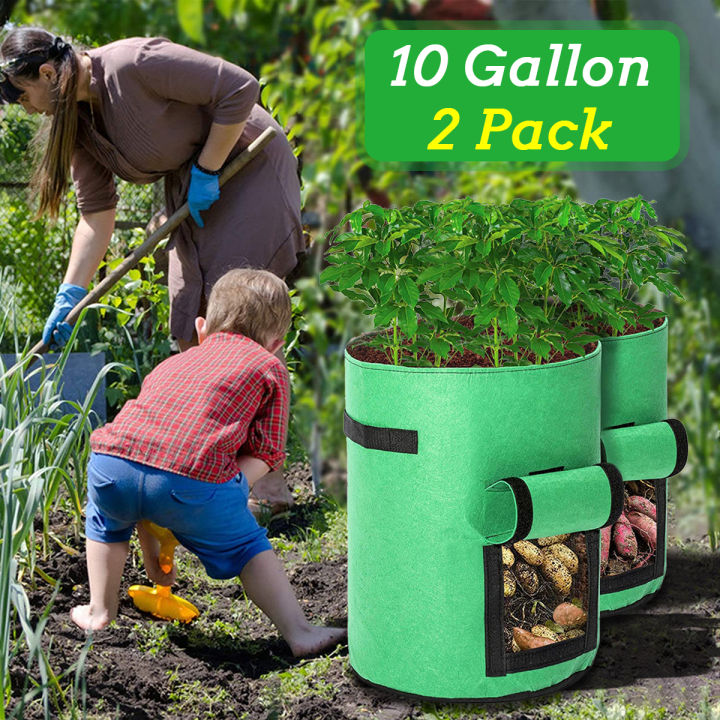 10 gal. Potato Grow Bags Pots with Handle, Thickened Non-Woven Fabric Container, Flap and Visualization Window (10-Pack)