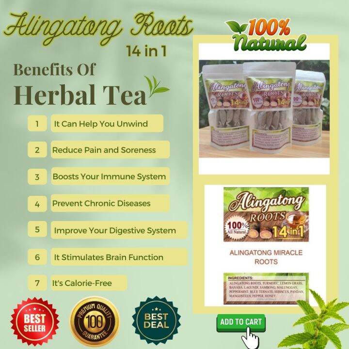 Alingatong Roots 14 in 1 / Herbal Tea | Lazada PH