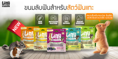 Tiny Kingdom ขนมลับฟัน Healthy Treats 50 g.