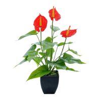 Ornaments Flower Greenery Decoration Potted Plants For Home Office Bedroom Desk Center With Basin Calla Lily Artificial Flowers