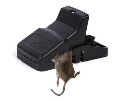 (พร้อมส่ง) ที่ดักหนู แบบสปริง อุปกรณ์ดักหนู เหยื่อดักหนู สารกำจัดหนู กับดักหนูสปริง mouse traps ใช้ซ้ำได้ อย่างดี