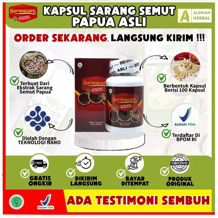 Sarang Semut Papua Kapsul Sarmucare Obat Herbal Penyakit Kronis ...