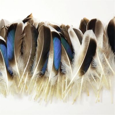 50Pcs/Pack Real Mallard Feathers 10-15 CM/4-6 for Crafts Needlework Accessories Pheasant Plumes Decoration