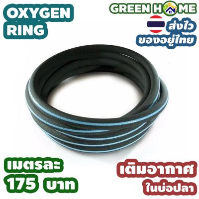 สายเติมอากาศ OXYGEN RING เติมอากาศ ในบ่อปลา ฟองละเอียด คุณภาพดี ส่งไว ส่งทุกวัน สินค้าอยู่ไทย