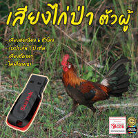 เสียงต่อไก่ป่า ตัวผู้ 6ชั่วโมงไม่มีโฆษณา แฟลชไดร์ฟ(Flash Drive) มีเก็บเงินปลายทาง ส่งด่วนKerry Express