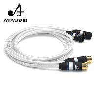 Hifi XLR Cable High Quality Silver and Copper 2 XLR Male to Female Audio Cable