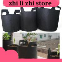 zhilizhi Store 1/2/3 Gallon 3Gal Grow Bags Black Pots Garden Fabric Plant Vegetable Flower Planter DIY Growing Bag Gardenig Tools