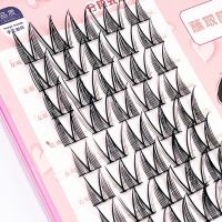 ；‘【；- Makeup False Eyelashes Cartoon Eyelashes