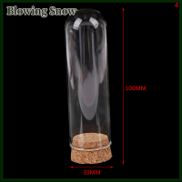 Blowing 1/6 Doll Glass Dome Display ไม้ก๊อก Bell Jar พร้อมฐานไม้ decoation CRAFT