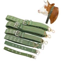 【LZ】 Adjustable Cattle Canvas Traction Rope Cattle Collar Cow Hauling Collar Livestock Feeding Supply Canvas Belt Strong Durable