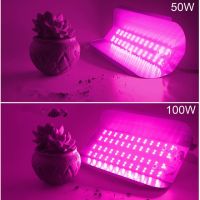 ไฟ Grow Led แบบเต็มสเปกตรัม220V 110V 50W 100W 380-440nm พร้อมปลั๊ก Eu Led สำหรับปลูกดอกไม้เรือนกระจก Hydroponic โคมไฟ Phyto