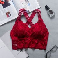 Women Sexy Lingerie Lace Bra Hollow Backless Top Female Padded Floral Brassiere Female Intimates Soft Underwear S-XL