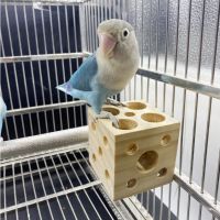 SDRGJY ทนทานต่อการใช้งาน ใช้งานได้จริง บรรเทาความเบื่อ สำหรับนกแก้ว cockatiel lovebird ทนต่อการกัด อุปกรณ์เสริมสำหรับนก ขาตั้งคอนสำหรับนกแก้ว ของเล่นให้นกเคี้ยว แพลตฟอร์มนก ของเล่นบดนกแก้ว